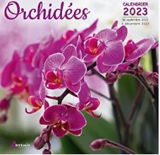 Calendrier orchides 2023
