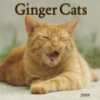 Calendrier mural Ginger Cats 2009