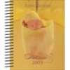 Agenda Anne Geddes 2009