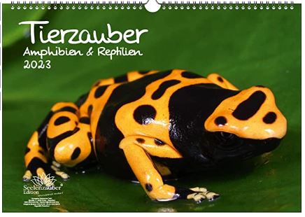 Superbe Calendrier Amphibiens