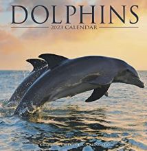 Dauphins