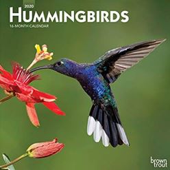 Hummingbirds 2012 Calendar