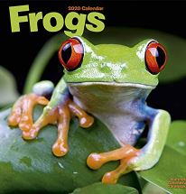 Calendrier grenouilles 2014